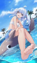 Rule 34 | 1girl, absurdres, ahoge, anizi, balloon, barefoot, bite mark, blue eyes, blue hair, blunt bangs, breasts, collarbone, cube hair ornament, feet, fins, fish tail, foot focus, gawr gura, hair ornament, highres, hololive, hololive english, inflatable shark, inflatable toy, knees together feet apart, legs, medium hair, midriff, multicolored hair, navel, open mouth, palm tree, pool, ribbon, shark, shark girl, shark tail, sharp teeth, small breasts, solo, stitches, streaked hair, swimsuit, tail, teeth, toenails, toes, tree, twintails, two-tone hair, virtual youtuber, white hair