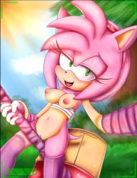 Rule 34 | 1girl, amy rose, blush, breasts, furry, hammer, hearlesssoul, nipples, open mouth, pussy, sega, sonic (series)
