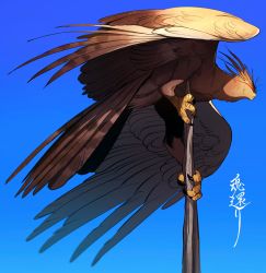 Rule 34 | 1other, bird, bird wings, blue background, brown feathers, clear sky, closed mouth, feathers, full body, highres, li sakura, original, pole, sky, solo, talons, wings