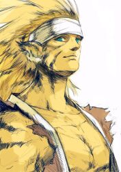 Rule 34 | 1boy, animal ears, blonde hair, blue eyes, breath of fire, breath of fire iii, closed mouth, furry, furry male, highres, kannoaki, looking at viewer, male focus, rei (breath of fire), simple background, smile, solo, white background