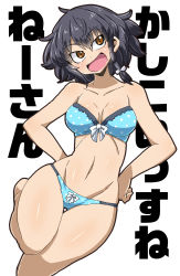 Rule 34 | 10s, 1girl, aono3, arm behind back, text background, black hair, blue bra, blue panties, bow, bow bra, bow panties, bra, braid, brown eyes, girls und panzer, gluteal fold, hair ribbon, hand on own hip, highres, leg up, looking at viewer, looking to the side, open mouth, panties, pepperoni (girls und panzer), polka dot, polka dot bra, polka dot panties, ribbon, short hair, side braid, smile, smug, solo, standing, standing on one leg, strapless, strapless bra, thigh gap, thighs, translated, underwear, underwear only, white background, white ribbon