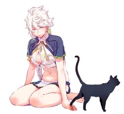 Rule 34 | 1girl, animal, bare shoulders, black cat, braid, breasts, cat, cleavage, cleavage cutout, clothing cutout, cloud print, hair between eyes, hair ornament, highres, kantai collection, large breasts, long hair, midriff, navel, parted lips, short sleeves, simple background, single braid, sitting, skirt, tassel, unryuu (kancolle), uyama hajime, white background, white hair, yellow eyes