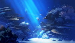 Rule 34 | animal, blurry, blurry foreground, coral, coral reef, dappled sunlight, day, depth of field, dolphin, fish, mocha (cotton), no humans, seafloor, original, outdoors, scenery, signature, sunlight, underwater, water