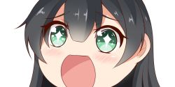 Rule 34 | + +, 10s, 1girl, agano (kancolle), black hair, blunt bangs, close-up, green eyes, hair between eyes, kantai collection, long hair, looking at viewer, nahaki, no nose, open mouth, portrait, simple background, sin-poi, solo, sparkling eyes, symbol-shaped pupils, white background