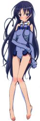 Rule 34 | 00s, 1girl, absurdres, alternate hairstyle, bare shoulders, barefoot, blue eyes, blue gloves, blue hair, blush, body blush, breasts, dakimakura (medium), elbow gloves, feet, from above, full body, gloves, hair down, halterneck, highres, holding, ichijou eika, iizuka haruko, knees together feet apart, leotard, light smile, long hair, long image, long legs, looking at viewer, lying, matching hair/eyes, official art, on back, parted bangs, pilot suit, purple eyes, ribbon, scan, shadow, simple background, sky girls, small breasts, smile, solo, tall image, thigh gap, turtleneck, unzipped, very long hair, white background, zipper