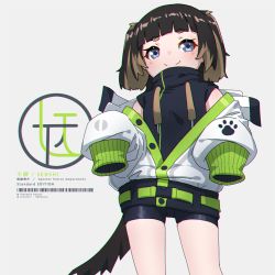 Rule 34 | 1girl, animal ears, barcode, bike shorts, black shorts, blunt bangs, brown hair, chromatic aberration, closed mouth, cowboy shot, dog ears, dog tail, drawstring, grey background, grey eyes, highres, jacket, jacket partially removed, kuro kosyou, long sleeves, looking at viewer, original, paw print, short eyebrows, shorts, simple background, sleeves past fingers, sleeves past wrists, smile, split mouth, standing, tail, thick eyebrows