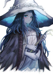 Rule 34 | 1girl, :o, absurdres, blue eyes, blue hair, blue skin, blush, cloak, coat, colored skin, elden ring, eric (tianqijiang), extra arms, fur cloak, fur coat, hat, highres, holding, long hair, looking at viewer, own hands together, plant, ranni the witch, robe, simple background, solo, wavy hair, witch, witch hat