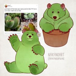 Rule 34 | :3, alternate color, animal focus, animalization, artist name, bear, cactus, dandelion, derivative work, english text, flower, flower pot, looking at viewer, multiple views, nana nakano, original, photo-referenced, photo inset, reference photo, screenshot redraw, traditional media, twitter, twitter username, white flower