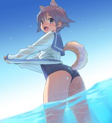Rule 34 | 1girl, animal ears, ass, blue one-piece swimsuit, blue sky, blush, brown eyes, brown hair, commentary request, day, dog ears, dog tail, hair between eyes, koume keito, long sleeves, looking at viewer, miyafuji yoshika, no pants, ocean, one-piece swimsuit, open mouth, outdoors, partially submerged, sailor collar, school swimsuit, shirt, shirt tug, short hair, sky, smile, solo, standing, strike witches, swimsuit, swimsuit under clothes, tail, thighs, wading, water, wet, white shirt, world witches series