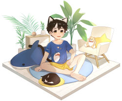 Rule 34 | 1boy, absurdres, animal ears, barefoot, black hair, blue shirt, bow, bowtie, cat, cat boy, cat ears, cat tail, chair, child, hand on own thigh, highres, looking at viewer, male focus, multicolored hair, nasa logo, open mouth, original, plant, print shirt, red bow, red bowtie, rock sugar, shark print, shirt, short sleeves, shorts, sitting, sleeping, smile, star-shaped pillow, stuffed animal, stuffed shark, stuffed toy, tail, teddy bear, yellow shorts