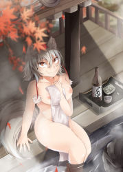 Rule 34 | 1girl, absurdres, animal ear fluff, animal ears, arm between breasts, arm support, autumn leaves, between breasts, between legs, blurry, blurry foreground, bottle, breasts, bright pupils, brown eyes, closed mouth, collarbone, commentary request, cup, day, dripping, fang, fang out, feet out of frame, fingernails, from above, grey hair, hair between eyes, hand on own chest, hand up, highres, holding, holding towel, inubashiri momiji, leaf, looking at viewer, looking up, mahimaru, maple leaf, medium breasts, nipples, nude, outdoors, partially submerged, sake bottle, short hair, sitting, smile, solo, stomach, tail, touhou, towel, tray, water, wet, wet face, wet hair, white pupils, wolf ears, wolf tail