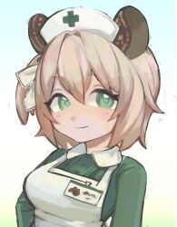 animal_ears apron breasts brown_hair coolsockies dress green_dress green_eyes hat highres large_breasts looking_at_viewer medium_hair name_tag nimi_nightmare nurse_cap simple_background tagme tapir_ears tapir_girl virtual_youtuber