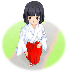 Rule 34 | 1girl, face, hakama, hakama skirt, japanese clothes, miko, red hakama, skirt, solo, yamaguchi homupe