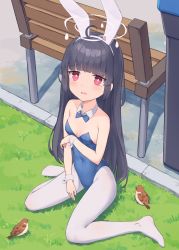Rule 34 | 1girl, absurdres, ahoge, animal ears, bare shoulders, bench, bird, black hair, blue archive, blue leotard, blush, bow, bowtie, breasts, covered navel, detached collar, fake animal ears, female focus, full body, highres, huge filesize, leotard, long hair, looking at viewer, miyu (blue archive), mr arme, no shoes, open mouth, outdoors, pantyhose, playboy bunny, rabbit ears, red eyes, revision, sitting, small breasts, solo, thighs, wariza, white pantyhose, wrist cuffs