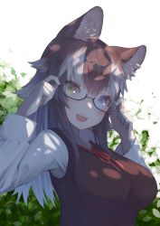 Rule 34 | 1girl, :d, absurdres, adjusting eyewear, akuma (st.takuma), alternate costume, animal ear fluff, animal ears, bespectacled, black hair, blue eyes, breasts, collared shirt, commentary, glasses, grey hair, grey wolf (kemono friends), hair between eyes, hands on eyewear, hands up, heterochromia, highres, impossible clothes, kemono friends, long hair, long sleeves, looking at viewer, medium breasts, multicolored hair, neck ribbon, open mouth, outdoors, ribbon, semi-rimless eyewear, shirt, simple background, smile, solo, sunlight, sweater vest, two-tone hair, under-rim eyewear, upper body, white background, white hair, white shirt, wing collar, wolf ears, yellow eyes