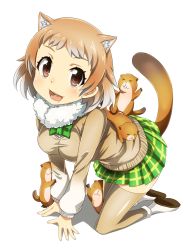 Rule 34 | 10s, 1girl, all fours, animal ears, black-tailed prairie dog (kemono friends), blush, bow, bowtie, breasts, brown eyes, brown hair, dog ears, dog tail, full body, fur collar, green skirt, highres, kemono friends, light brown hair, long sleeves, looking at viewer, medium breasts, multicolored hair, open mouth, plaid, plaid skirt, pleated skirt, school uniform, short hair, simple background, skirt, smile, solo, sweater vest, tail, tanashi (mk2), thighhighs, two-tone hair, white background, white hair