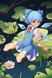 Rule 34 | 1girl, absurdres, ahoge, arm support, artist name, blue bow, blue dress, blue eyes, blue hair, blush, bow, branch, breasts, cirno, closed mouth, commentary request, dethmaid, dress, flower, flower request, hair bow, highres, ice, ice wings, leaning back, lily pad, looking to the side, petals, pinafore dress, pink flower, plant, puffy short sleeves, puffy sleeves, red neckwear, red ribbon, ribbon, shirt, short hair, short sleeves, sleeveless dress, small breasts, smile, soaking feet, solo, split mouth, touhou, vines, white shirt, wing collar, wings