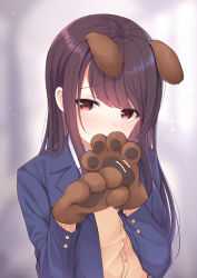 Rule 34 | 1girl, animal ears, animal hands, blazer, blue jacket, blurry, blurry background, blush, commentary request, covering own mouth, depth of field, dog ears, dog girl, embarrassed, flying sweatdrops, gloves, hicha nomu, jacket, long hair, long sleeves, looking at viewer, motion lines, open clothes, open jacket, original, paw gloves, purple hair, red eyes, school uniform, solo, swept bangs, upper body