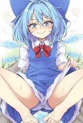 Rule 34 | 1girl, bare legs, barefoot, blue bow, blue dress, blue eyes, blue hair, blush, bow, breasts, cirno, clothes lift, dress, dress lift, fang, feet, grass, hair between eyes, hair bow, highres, ice, ice wings, looking down, neko mata, outdoors, panties, pinky out, red ribbon, ribbon, rock, shirt, short sleeves, sitting, skin fang, small breasts, soaking feet, solo, sweat, toes, touhou, underwear, wet, white panties, white shirt, wings