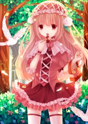 Rule 34 | 1girl, absurdres, bad id, bad pixiv id, bag, basket, bird, brown eyes, brown hair, checkerboard cookie, cookie, dove, dress, eating, fang, feathers, female focus, flower, food, frilled dress, frills, hair ornament, hairband, handbag, highres, holding, lolita hairband, long hair, looking at viewer, moseley, open mouth, original, outdoors, pigeon, rose, solo, thighhighs, tree, two side up, wafer stick, white thighhighs, zettai ryouiki