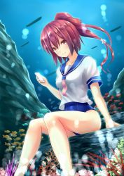 Rule 34 | 10s, 1girl, arm support, bare legs, cellphone, coral reef, high ponytail, i-168 (kancolle), kantai collection, looking at viewer, neckerchief, nishiura gin, phone, red eyes, red hair, sailor collar, school swimsuit, school uniform, serafuku, sitting, smartphone, solo, swimsuit, swimsuit under clothes, underwater