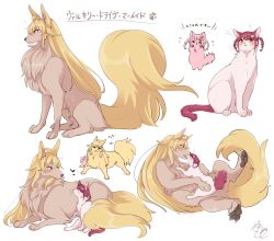 Rule 34 | :3, animal, animal ears, animal focus, animalization, animals kissing, blonde hair, braid, cat, cat hair ornament, cat tail, couple, dog, galette71799907, hair ornament, highres, kiss, no humans, red eyes, red hair, shikishima mirei, short twintails, simple background, tail, tokonome mamori, twin braids, twintails, valkyrie drive, valkyrie drive -mermaid-, white background, yellow eyes, yuri