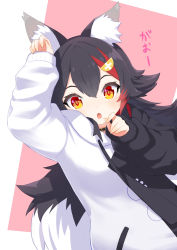 Rule 34 | 1girl, :o, absurdres, animal ear fluff, animal ears, arm up, black hair, choker, fang, hair ornament, hairclip, highres, hololive, hood, hood down, hoodie, long hair, looking at viewer, multicolored hair, ookami mio, ookami mio (casual), open mouth, simple background, solo, streaked hair, very long hair, virtual youtuber, wappa, white hoodie, wolf ears, wolf girl, yellow eyes
