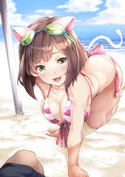 Rule 34 | 10s, 1girl, all fours, animal ears, beach, bikini, blush, breasts, brown hair, cat ears, cat tail, cleavage, day, fang, fukyuu, goggles, goggles on head, green eyes, highres, idolmaster, idolmaster cinderella girls, large breasts, looking at viewer, maekawa miku, open mouth, pov, short hair, smile, solo focus, swimsuit, tail