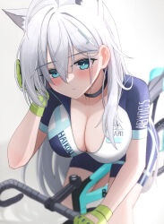 Rule 34 | 1girl, absurdres, animal ear fluff, animal ears, bicycle, bike jersey, bike shorts, black choker, blue archive, blue eyes, breasts, choker, cleavage, closed mouth, cosplay, cross hair ornament, expressionless, extra ears, gloves, green gloves, grey hair, hair between eyes, hair ornament, highres, large breasts, long hair, mismatched pupils, mofu07519, official alternate costume, riding, riding bicycle, shiroko (blue archive), shiroko (cycling) (blue archive), shiroko (cycling) (blue archive) (cosplay), shiroko terror (blue archive), short sleeves, simple background, solo, sweat, wolf ears