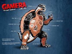 Rule 34 | anatomy, biology, blue background, brain, chart, coal, cross-section, daiei film, derivative work, diagram, elemental (creature), energy, english text, fire, fire elemental, gamera, gamera, the giant monster, gamera (series), giant, giant monster, heart, intestines, jolyon yates, kadokawa, kaijuu, lungs, lava, monster, multiple stomachs, no humans, official art, organs, plasma, science, science fiction, shell, shout! factory, simple background, stomach, tail, turtle, turtle shell, tusks, uranium, x-ray