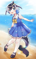 Rule 34 | 1girl, :d, ankle strap, armpit peek, backlighting, bare arms, bare shoulders, beach, black bow, black footwear, black hair, black tail, blowhole, blue dress, blue eyes, blue hair, blue sky, blush, bow, bowtie, cetacean tail, cloud, common dolphin (kemono friends), day, dolphin girl, dorsal fin, dot nose, dress, fins, fish tail, flipped hair, footwear bow, frills, from side, full body, grey hair, hair between eyes, head fins, heel up, highres, horizon, kemono friends, knees together feet apart, leaning forward, leg up, light particles, looking at viewer, looking to the side, mountainous horizon, multicolored hair, no socks, ocean, open mouth, outdoors, outstretched arm, petticoat, pleated dress, round teeth, sailor collar, sailor dress, sand, shoes, shore, short dress, short hair, sky, sleeveless, sleeveless dress, smile, solo, standing, suicchonsuisui, sunlight, tail, tareme, teeth, upper teeth only, water, water drop, white sailor collar, yellow bow, yellow bowtie