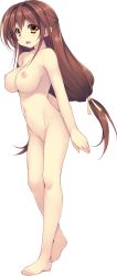 Rule 34 | 1girl, azarashi soft, barefoot, breasts, brown hair, completely nude, feet, full body, game cg, hair intakes, highres, kamitsurugi ouka, kidou yuuri, large breasts, long hair, looking at viewer, low-tied long hair, navel, nipples, non-web source, nude, open mouth, orange eyes, solo, standing, tachi-e, transparent background, yami to hikari no sanctuary