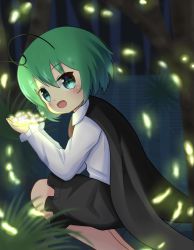 Rule 34 | 1girl, antennae, black cape, black shorts, blush, cape, collared shirt, commentary request, feet out of frame, fireflies, grass, green eyes, green hair, hair between eyes, highres, koruk700, long sleeves, looking at viewer, looking to the side, open mouth, shirt, short hair, shorts, smile, solo, squatting, touhou, tree, white shirt, wriggle day, wriggle nightbug