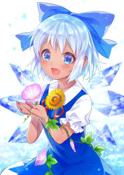 Rule 34 | 1girl, blue dress, blue eyes, blue hair, blush, bow, cirno, colored eyelashes, cowboy shot, cupping hands, dress, fang, flower, hair bow, hidden star in four seasons, highres, holding, holding flower, ice, ice wings, neme, own hands together, plant, ribbon, shirt, short hair, sleeveless, sleeveless dress, solo, star (symbol), tan, tanned cirno, touhou, vines, white background, white shirt, wings