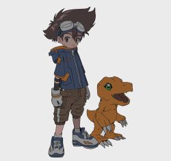 Rule 34 | agumon, blue jacket, brown eyes, brown hair, child, closed mouth, digimon, digimon (creature), digimon adventure, fangs, gloves, goggles, goggles on head, green eyes, highres, jacket, shorts, simple background, star (symbol), tantanmen, white background, white gloves, yagami taichi