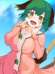 Rule 34 | 1girl, animal ears, bamboo broom, blue sky, blush, breasts, broom, cloud, commentary request, day, dress, green eyes, green hair, hekiga (freelot), highres, kasodani kyouko, large breasts, long sleeves, open mouth, pink dress, short hair, sky, smile, solo, tail, tail wagging, teeth, touhou
