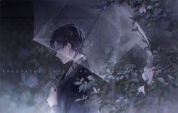 Rule 34 | 1boy, black hair, black jacket, chinese commentary, commentary request, dark, flower, glasses, gundongdejie, holding, holding umbrella, jacket, klein moretti, looking down, lord of the mysteries, plant, rain, short hair, solo, transparent, transparent umbrella, umbrella, watermark, web address