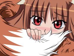Rule 34 | 00s, animal ears, blush, brown hair, cat ears, cat tail, holo, red eyes, solo, spice and wolf, tail, vector trace, wolf ears, wolf tail