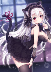 Rule 34 | 1girl, animal ears, black bow, black dress, black hairband, black thighhighs, blurry, blurry background, bow, breasts, bridal gauntlets, cat day, cat ears, cat girl, cat tail, cleavage, commentary request, depth of field, dress, frilled dress, frilled hairband, frills, hair between eyes, hairband, hand up, heart, large breasts, leaning forward, long hair, looking at viewer, looking to the side, mitsuba choco, nail polish, original, red eyes, red nails, red ribbon, ribbon, solo, strapless, strapless dress, striped, striped bow, tail, tail ornament, tail raised, tail ribbon, thighhighs, very long hair, white hair