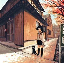 Rule 34 | 1girl, autumn, cat, kimura (pixiv178485), original, perspective, road, school uniform, serafuku, shade, solo, vanishing point
