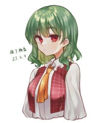 Rule 34 | 1girl, ascot, breasts, closed mouth, collared shirt, dated, green hair, highres, kazami yuuka, long sleeves, looking at viewer, medium breasts, medium hair, plaid, plaid vest, red eyes, red vest, shirt, simple background, solo, touhou, translation request, upper body, utsuro114514, vest, white background, white shirt, yellow ascot