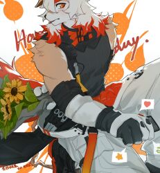 Rule 34 | 1boy, absurdres, arknights, arm behind back, bara, black footwear, black shirt, blush, bouquet, chinese commentary, colored tips, commentary request, flower, furry, furry male, happy birthday, heart, highres, holding, holding bouquet, holding phone, hung (arknights), komainu boy, komainu ears, komainu tail, looking at viewer, male focus, mianbao gou 2 hao, multicolored hair, muscular, muscular male, on one knee, orange eyes, pants, phone, profile, shirt, sleeveless, sleeveless shirt, speech bubble, spoken heart, spoken star, star (symbol), tongue, tongue out, translation request, white pants