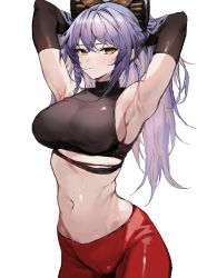 Rule 34 | 1girl, absurdres, akafuyu (arknights), arknights, armpits, arms behind head, arms up, bare shoulders, black gloves, black shirt, breasts, cowboy shot, crop top, elbow gloves, gloves, hands in hair, highres, large breasts, long hair, looking at viewer, midriff, mole, mole under mouth, molyb, navel, pants, purple hair, red pants, shirt, simple background, sleeveless, sleeveless shirt, sleeveless turtleneck, solo, standing, stomach, sweatdrop, turtleneck, white background, yellow eyes