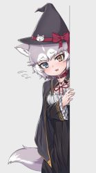 Rule 34 | 1girl, :3, alternate costume, animal ears, around corner, black cape, black dress, blue eyes, blush, bow, cape, collar, dog (mixed breed) (kemono friends), dog ears, dog tail, dress, fang, flying sweatdrops, frilled sleeves, frills, grey hair, halloween costume, hat, hat bow, heart, heart necklace, heterochromia, jewelry, kemono friends, long sleeves, multicolored hair, neck ribbon, necklace, nyifu, open mouth, red bow, red collar, red ribbon, ribbon, short hair, solo, tail, white hair, witch, witch hat, yellow eyes