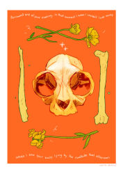 Rule 34 | animal skull, artist name, bone, commentary, english commentary, english text, flower, gatoiberico, highres, no humans, orange background, original, simple background, skull, yellow flower
