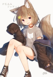 Rule 34 | 1girl, :d, animal ear fluff, animal ears, animal print, blush, brown footwear, brown hair, brown jacket, brown shorts, brown socks, cat hair ornament, cat print, collar, collarbone, commentary request, coreytaiyo, dated, fang, fox ears, fox girl, fox tail, grey background, grey shirt, hair ornament, highres, jacket, knees up, long hair, long sleeves, looking at viewer, off shoulder, open clothes, open jacket, open mouth, original, puffy long sleeves, puffy sleeves, red collar, red eyes, shirt, shoes, short shorts, short sleeves, shorts, signature, simple background, sitting, sleeves past fingers, sleeves past wrists, smile, socks, solo, tail, translation request