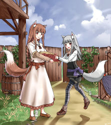 Rule 34 | 2girls, animal ears, basket, blue sky, blush, braid, braided ponytail, brown hair, dress, eye contact, fang, fence, food, fruit, highres, holding, holding basket, holo, ice-coffee2019, pantyhose under shorts, long hair, looking at another, mother and daughter, multiple girls, myuri (spice and wolf), open mouth, pantyhose, pink dress, pouch, print legwear, print pantyhose, red eyes, sash, shoes, shorts, silver hair, skin fang, skirt, sky, smile, spice and wolf, standing, tail, wolf ears, wolf girl, wolf tail, wooden fence