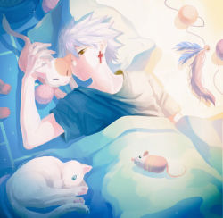 Rule 34 | 1boy, animal, bed, bed sheet, blanket, cat, earrings, jewelry, looking at another, lying, male focus, on bed, pillow, rough (talesrunner), spiked hair, talesrunner, white hair, wince, yellow eyes