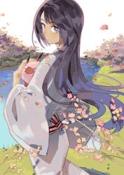 Rule 34 | 1girl, animal, black hair, blue eyes, branch, character request, cherry blossoms, copyright request, grass, hair blowing, holding, holding animal, japanese clothes, kazuya (743167), kimono, long hair, looking at viewer, looking back, obi, parted lips, petals, pig, river, sash, shore, solo, tree, very long hair, water, white background, white kimono, wind