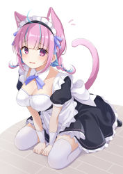 Rule 34 | 1girl, ahoge, animal ear fluff, animal ears, apron, between legs, black dress, blue hair, blue ribbon, blunt bangs, blush, braid, breasts, cat ears, cat girl, cat tail, cleavage, collar, colored inner hair, detached collar, dress, extra ears, frilled dress, frills, full body, hand between legs, highres, hololive, large breasts, looking at viewer, maid, maid apron, maid headdress, medium hair, minato aqua, multicolored hair, open mouth, pink hair, purple eyes, ribbon, sasado serori, seiza, sidelocks, sitting, solo, streaked hair, tail, thighhighs, twin braids, two-tone hair, v arms, virtual youtuber, white background, white collar, white thighhighs